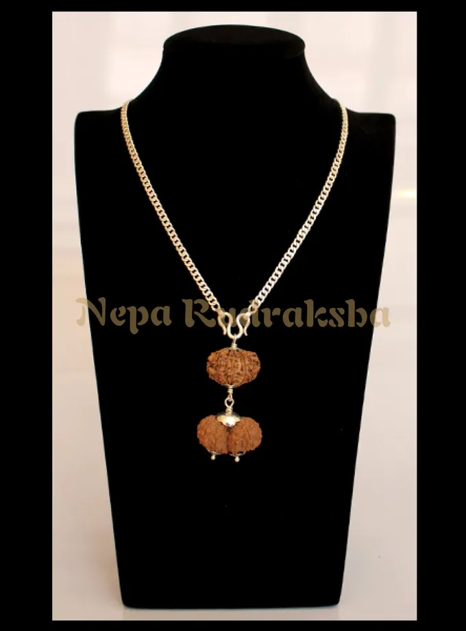 Rudraksha Leo (Simha) Combination High Quality