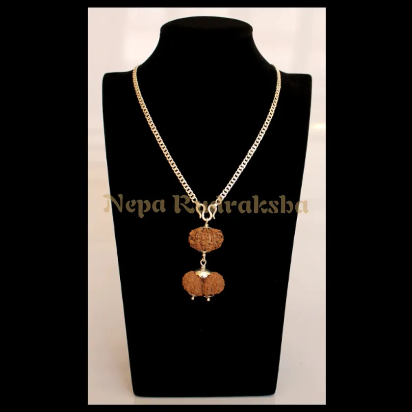 Rudraksha Leo (Simha) Combination High Quality