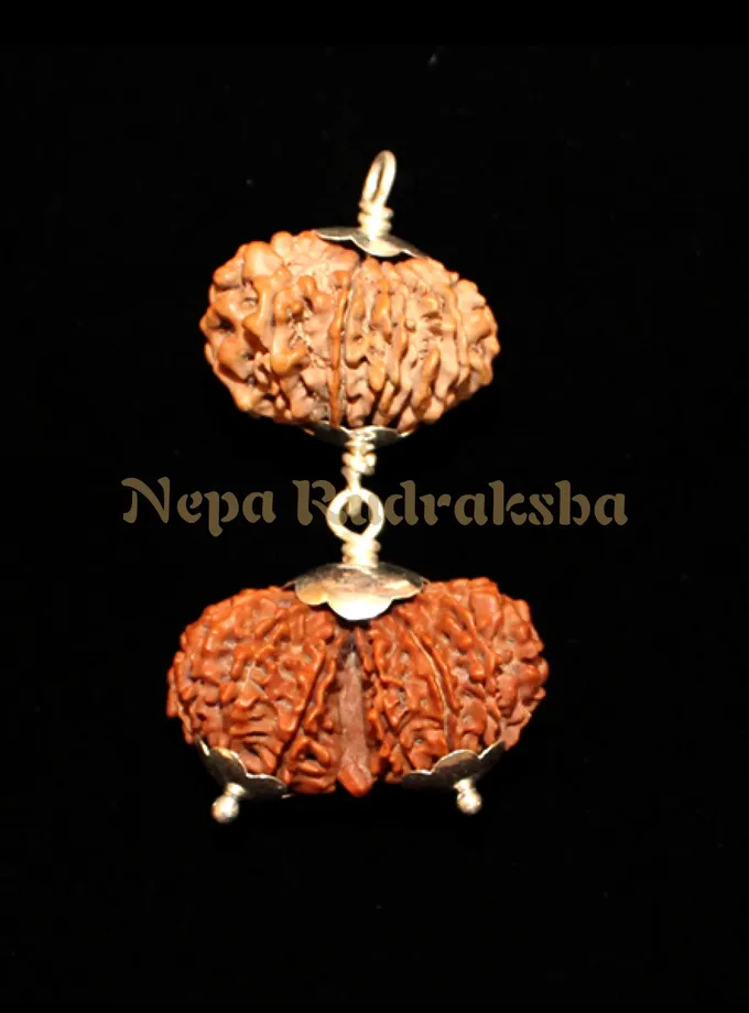 Rudraksha Libra (Tula) Combination On Sale