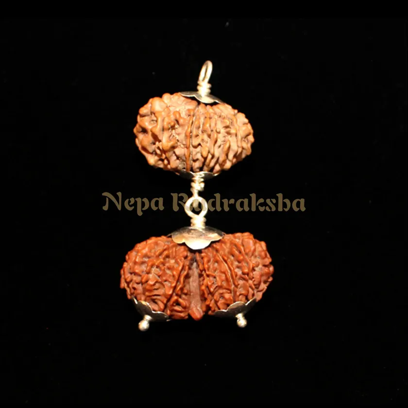 Rudraksha Libra (Tula) Combination On Sale