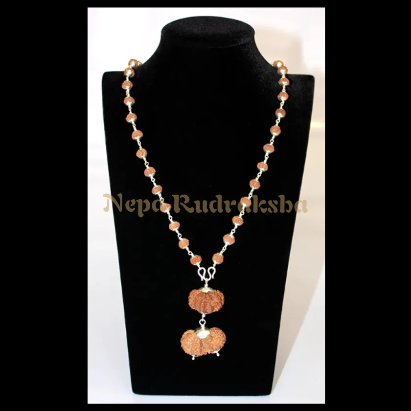 Rudraksha Libra (Tula) Combination On Sale