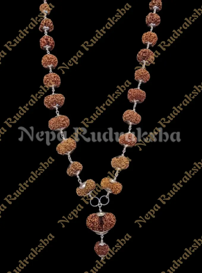 Rudraksha Maha MrityunJaya Siddha Mala On Sale