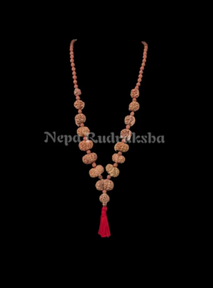 Rudraksha Mangal Siddha Mala Best Buy