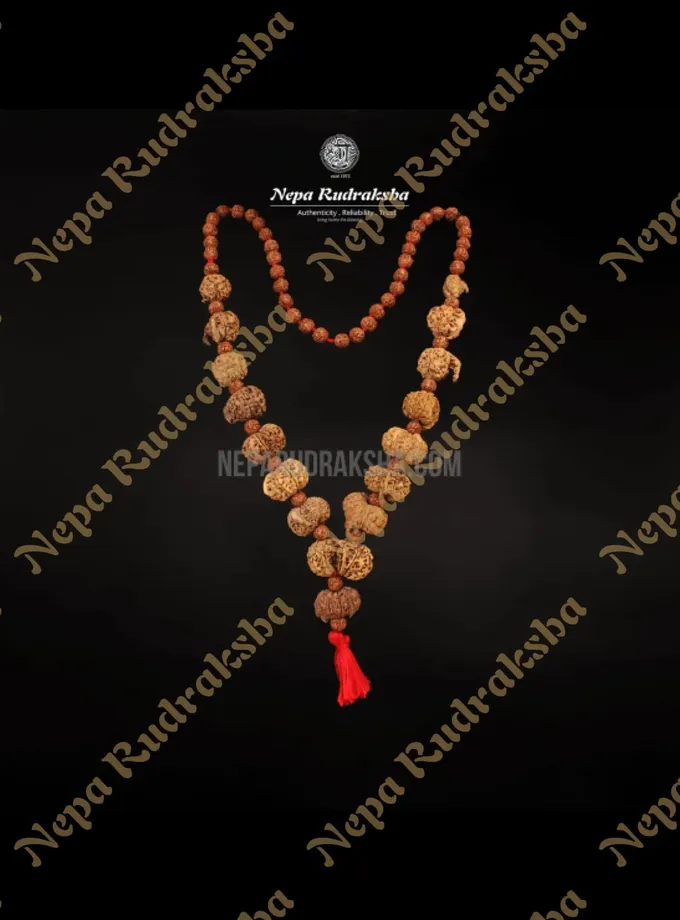 Rudraksha Mangal Siddha Mala Best Buy