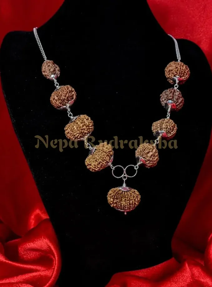 Rudraksha Navadurga Combination Best Price