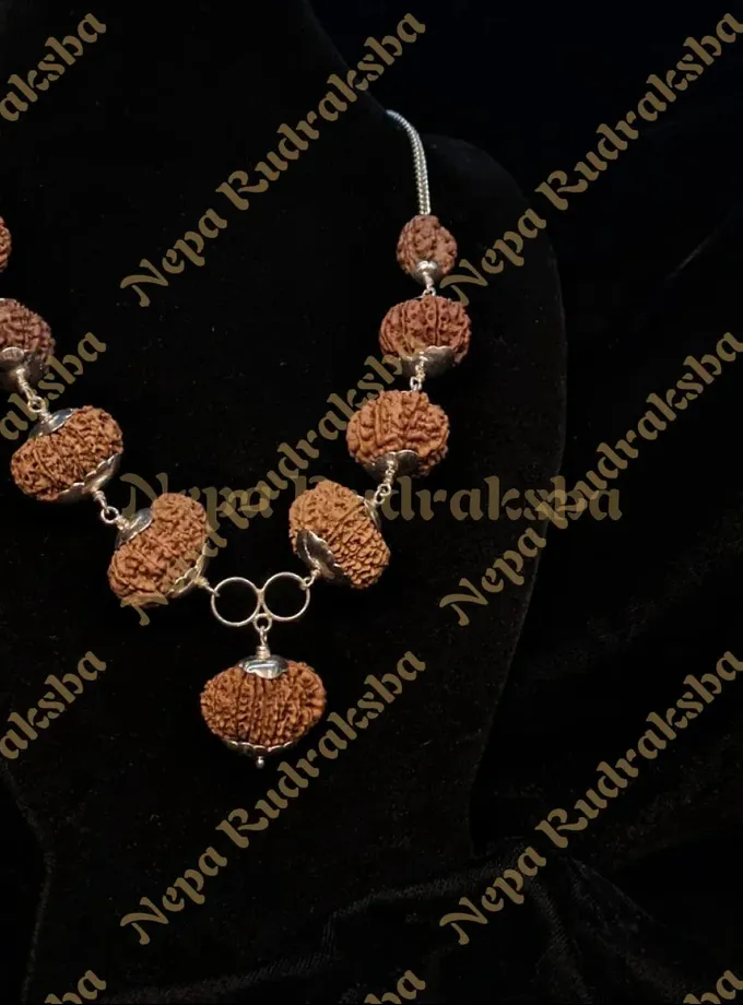 Rudraksha Navadurga Combination Best Price