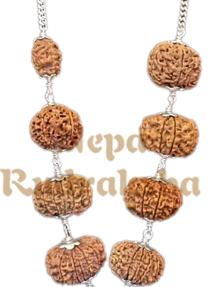 Rudraksha Navagraha Shanti Combination High Quality