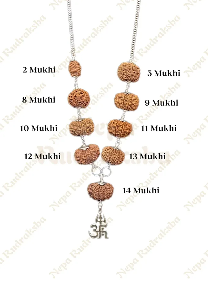 Rudraksha Navagraha Shanti Combination High Quality