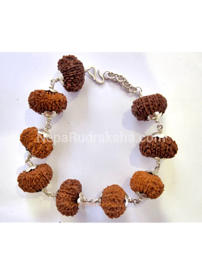 Rudraksha Nepali 14 Mukhi Bracelet Best Buy