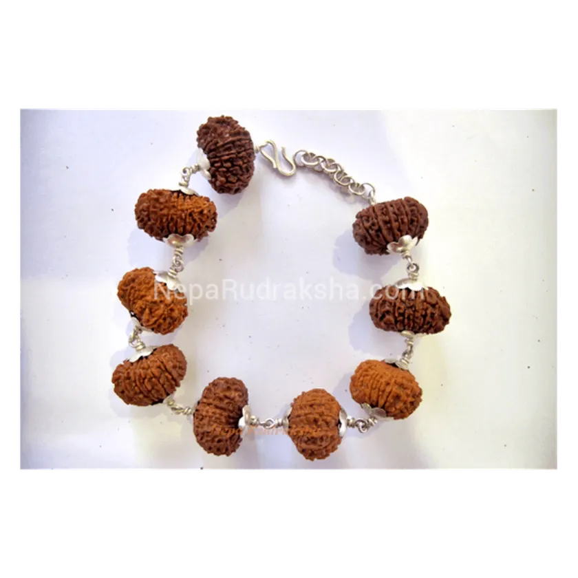 Rudraksha Nepali 14 Mukhi Bracelet Best Buy