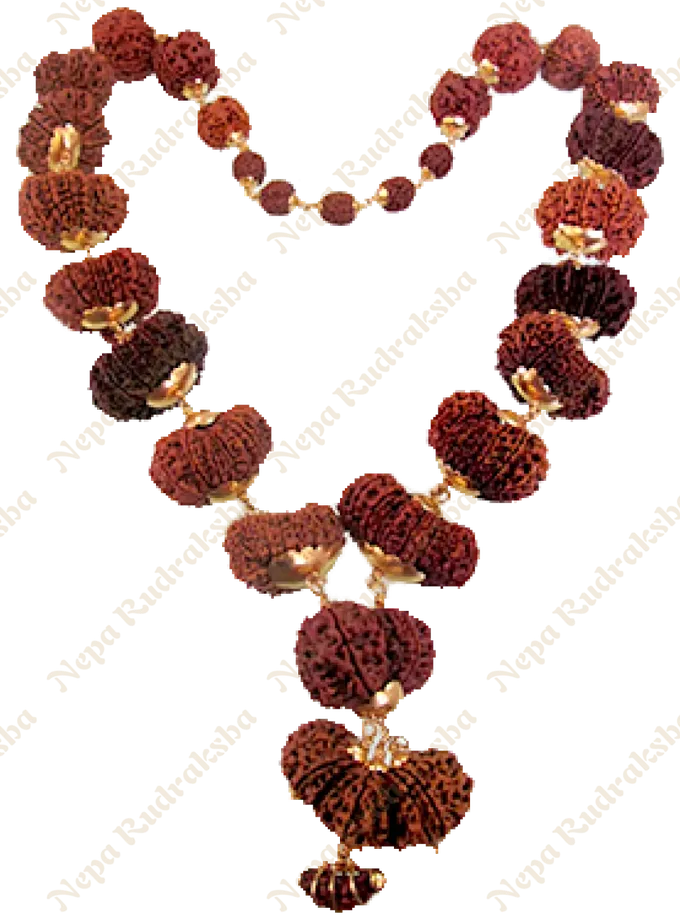 Rudraksha Nepali Indra Mala (Customizable) New Arrival