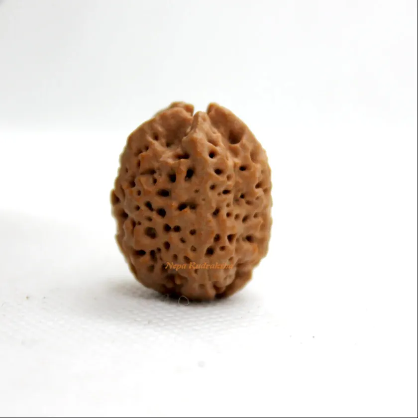 Rudraksha Nirakar Naag Free shipping