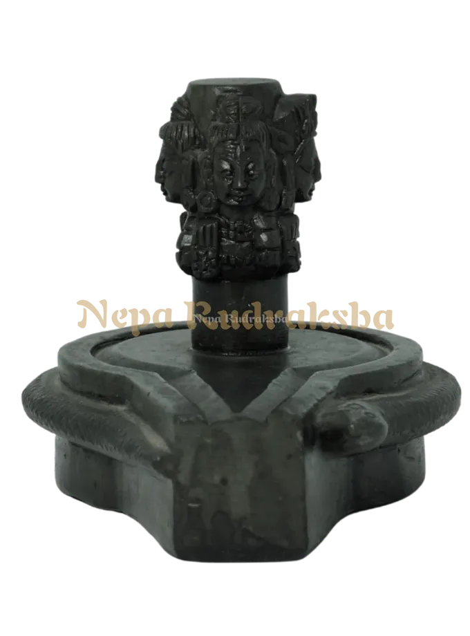 Rudraksha Pashupatinath Shiva Linga (Handmade) On Sale