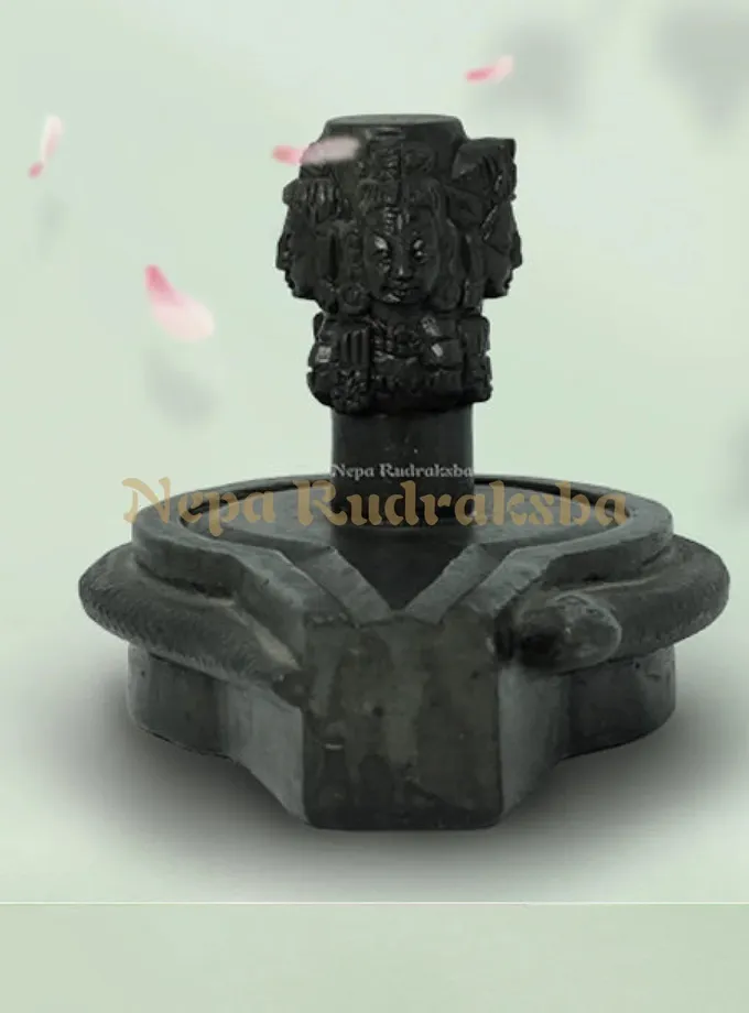 Rudraksha Pashupatinath Shiva Linga (Handmade) On Sale