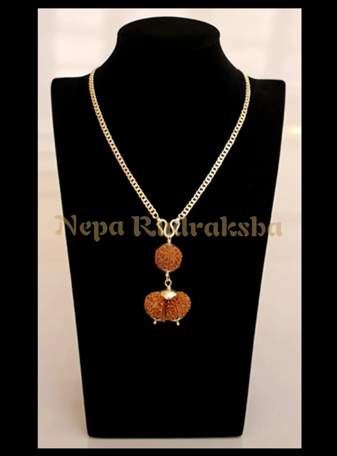 Rudraksha Pisces (Meena) Combination New Arrival