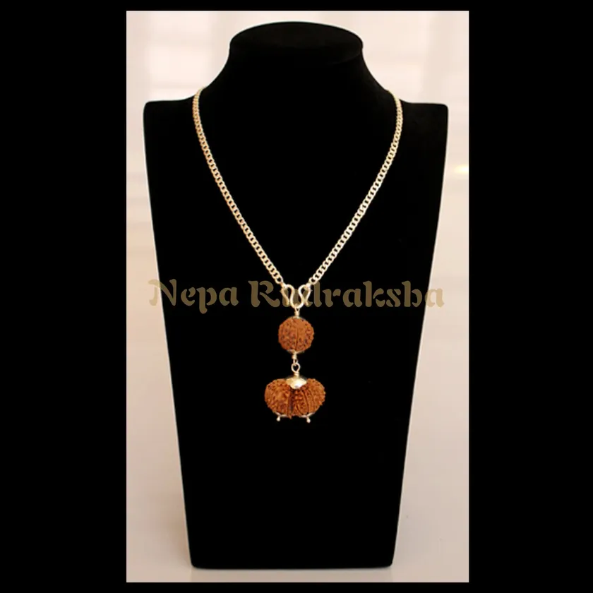 Rudraksha Pisces (Meena) Combination New Arrival