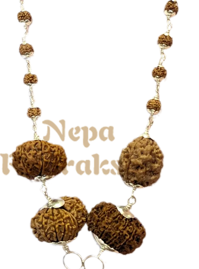 Rudraksha Rudra Bhairav Combination Best Price