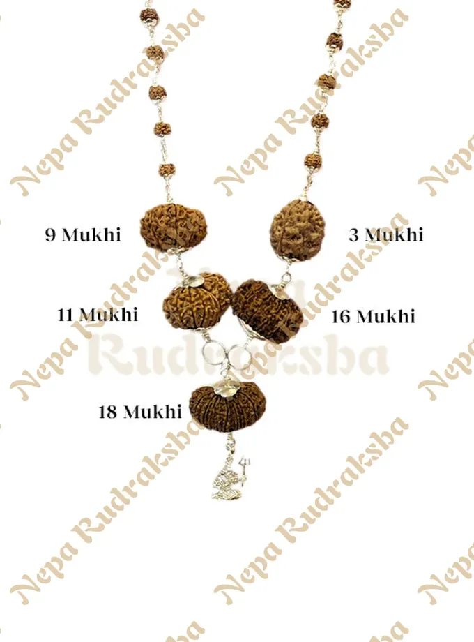 Rudraksha Rudra Bhairav Combination Best Price