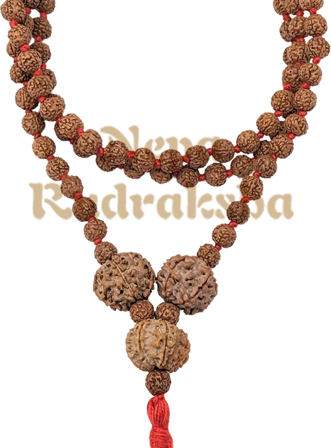 Rudraksha Rudra Sadhana Combination On Sale