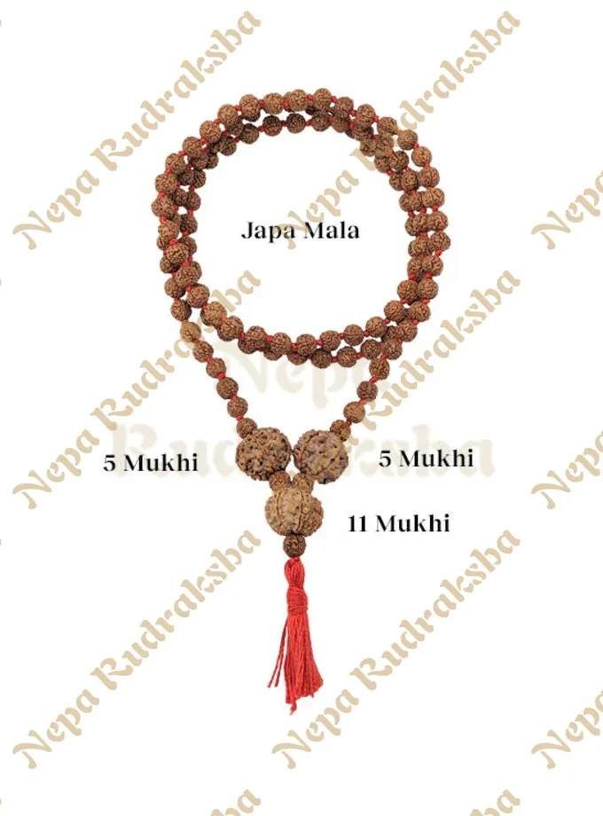 Rudraksha Rudra Sadhana Combination On Sale