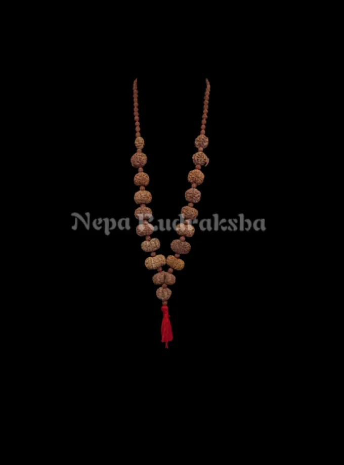 Rudraksha Sarva Siddha Mala High Quality