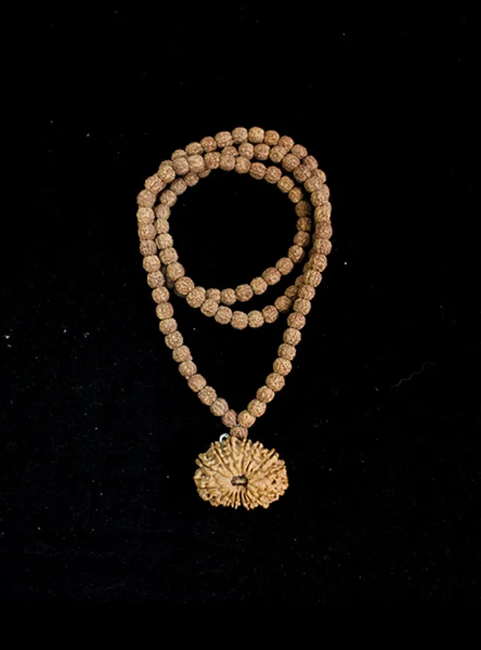 Rudraksha Shani Sade Sati Combination High Quality