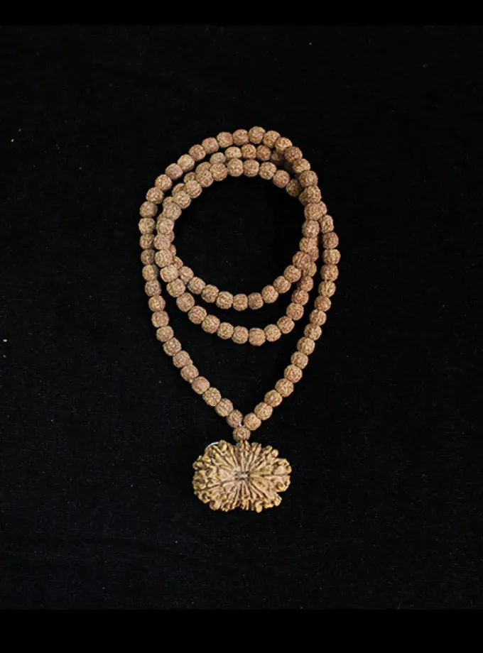 Rudraksha Shani (Saturn) Mahadasha Best Price