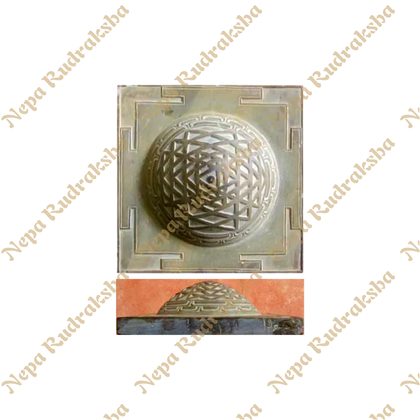 Rudraksha Shree Yantra (Handmade) Same Day Delivery