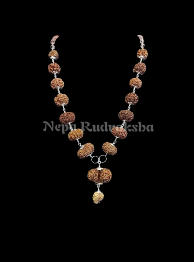 Rudraksha Siddha Mala (Basic) Best Buy