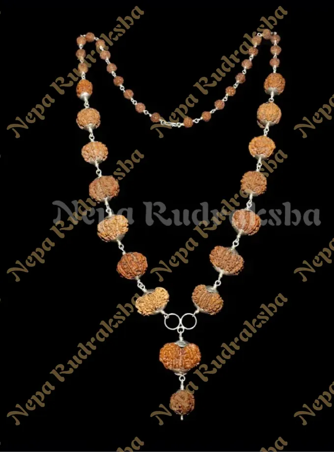 Rudraksha Siddha Mala (Basic) Best Buy