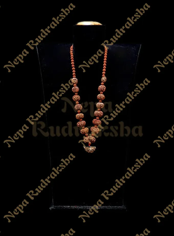 Rudraksha Siddha Mala (Economy) High Quality