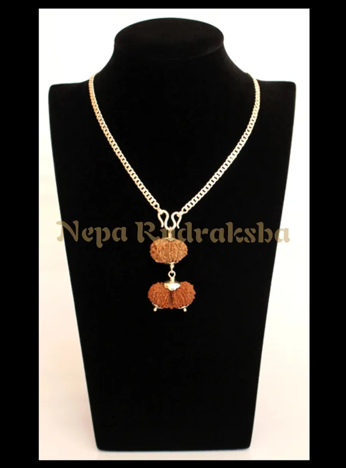 Rudraksha Taurus (Vrisha) Combination On Sale