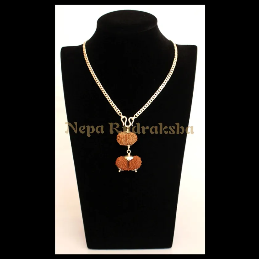 Rudraksha Taurus (Vrisha) Combination On Sale