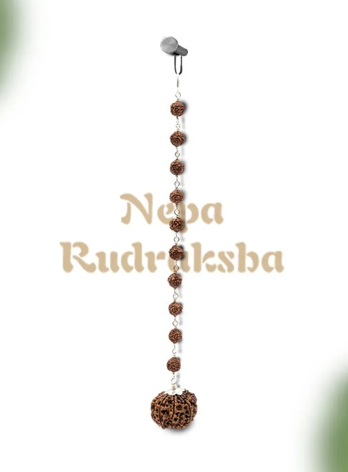 Rudraksha Vaastu Combination On Sale