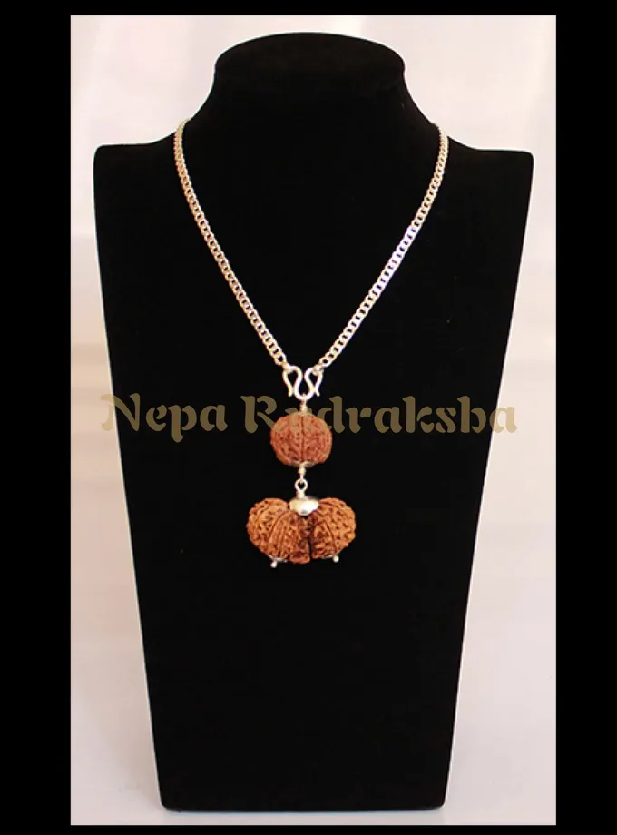 Rudraksha Virgo (Kanya) Combination New Arrival